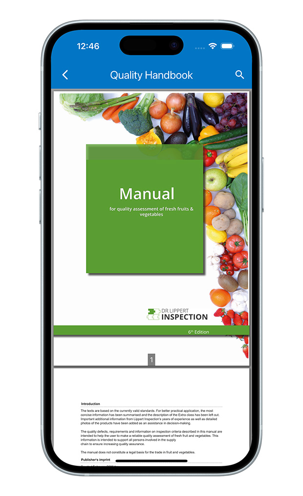 Offline Standards Feature